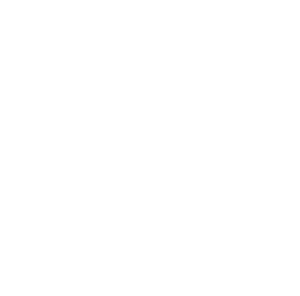 Play Icon